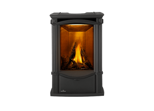 Napoleon Hearth Electric Fireplace Napoleon Castlemore Direct Vent Gas Stove  | GDS26N-1