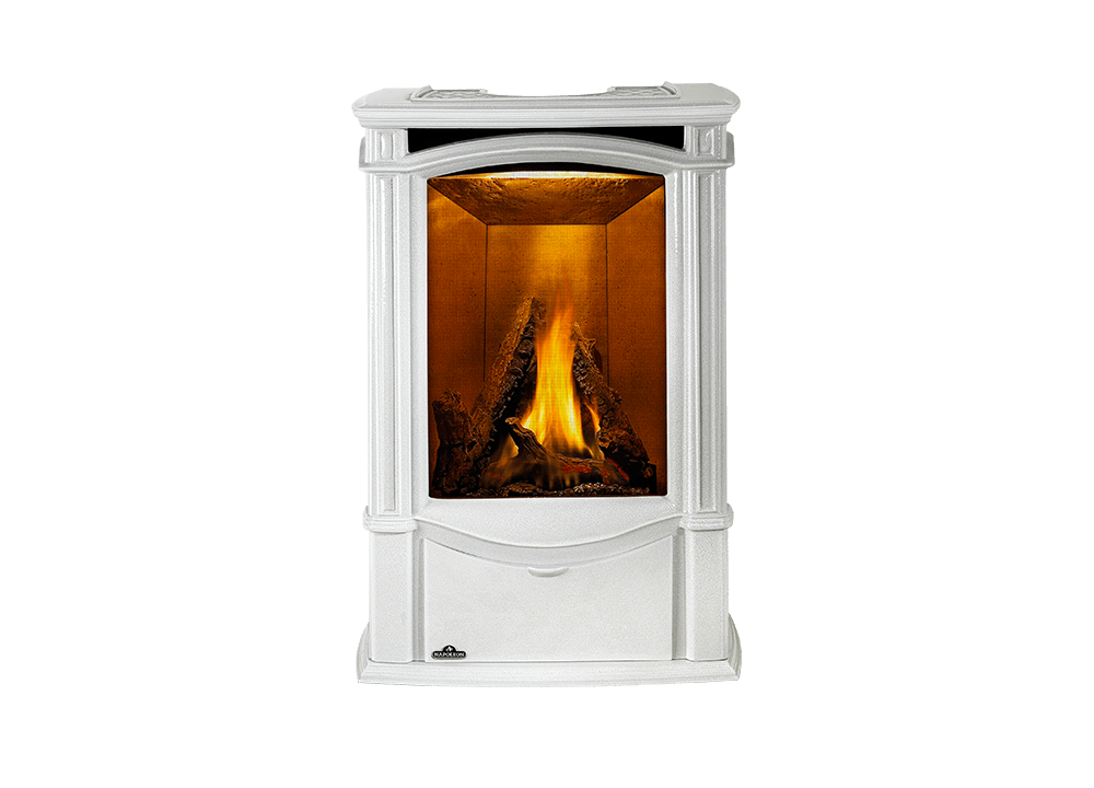 Napoleon Hearth Electric Fireplace Napoleon Castlemore Direct Vent Gas Stove  | GDS26N-1