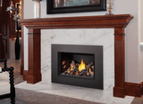 Napoleon Hearth Electric Fireplace Napoleon Oakville X3 Gas Fireplace Insert | GDIX3N