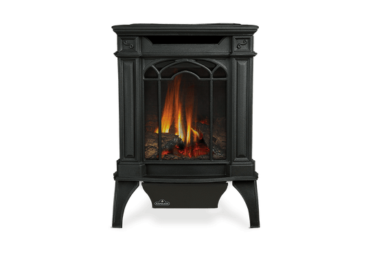 Napoleon Hearth Gas Stove Direct Vent Gas Stove Metallic Black, Electronic Ignition - Natural Gas (LP kit sold separately) | GDS20