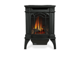 Napoleon Hearth Gas Stove Direct Vent Gas Stove Metallic Black, Electronic Ignition - Natural Gas (LP kit sold separately) | GDS20