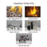 Napoleon Hearth Napoleon BL36NTE-1 Ascent Linear Series Electronic Ignition Direct Vent Gas Fireplace