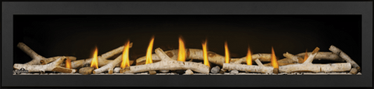 Napoleon Hearth Napoleon Fireplaces LV62N Single Sided, Direct Vent, Natural Gas, Electronic Ignition