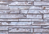 Napoleon Hearth Napoleon GD867KT Decorative Brick Panels Custom Blend Ledgerock for HDX35
