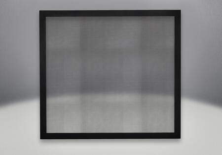 Napoleon Hearth Napoleon Hearth F35K Classic Black Front with Premium Safety Barrier