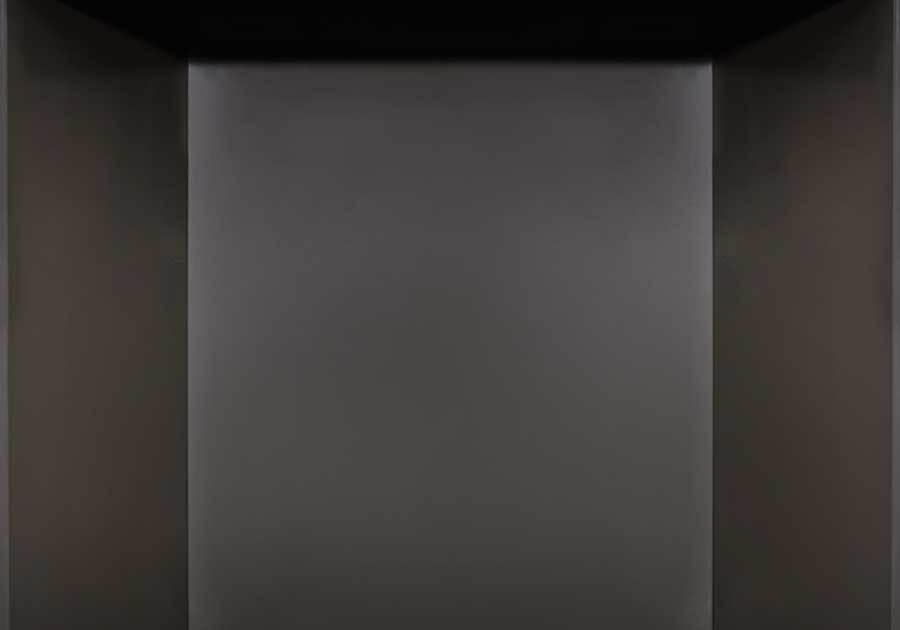 Napoleon Hearth PLATN REFLECT PANELS FOR HDX35NT