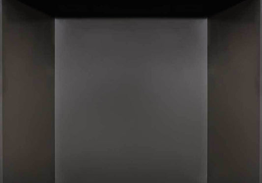 Napoleon Hearth PLATN REFLECT PANELS FOR HDX35NT