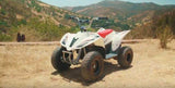 Razor Electric Ride Ons Razor Dirt Quad 500 (ISTA)