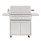 Summerset Grills Premium Gas Grill Propane Summerset TRL 32-Inch 3-Burner | Free Standing | Propane OR Natural Gas | Grill With Rotisserie - TRL32
