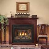 White Mountain Hearth by Empire Direct Vent Fireplace Empire Tahoe Deluxe 36 Direct Vent Gas Fireplace | DVD36FP |